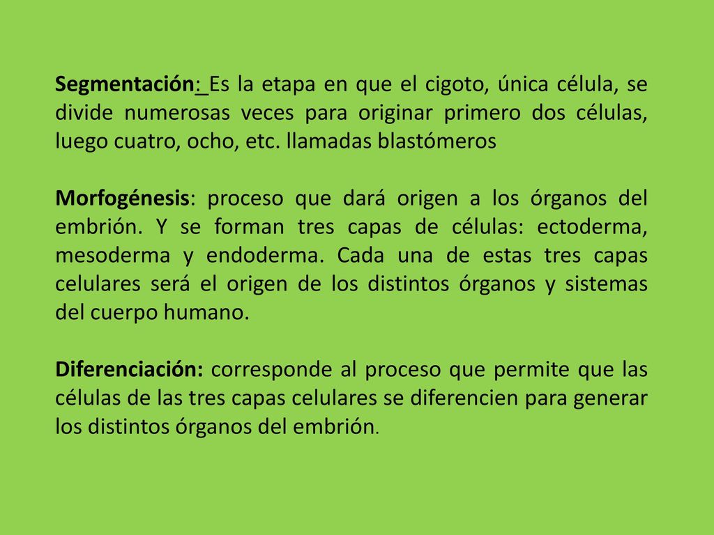 Segmentación: Es la etapa en que el cigoto, única célula, se divide numerosas veces para originar primero dos células, luego cuatro, ocho, etc. llamadas blastómeros