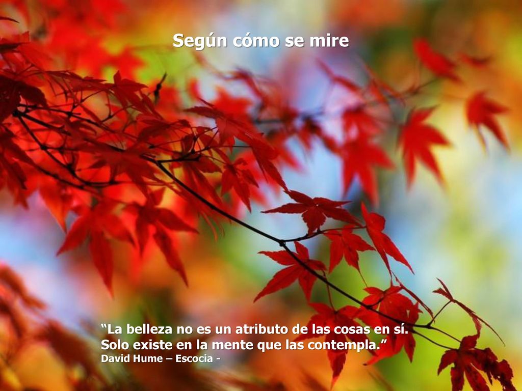 Según cómo se mire La belleza no es un atributo de las cosas en sí.