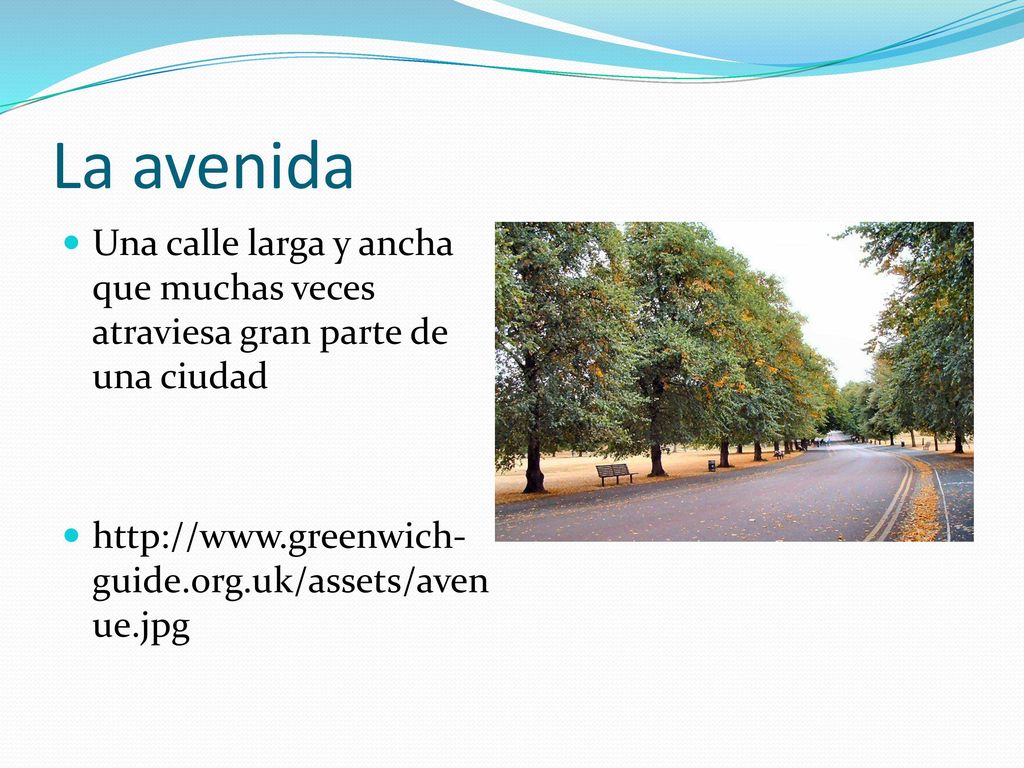 La avenida Una calle larga y ancha que muchas veces atraviesa gran parte de una ciudad.