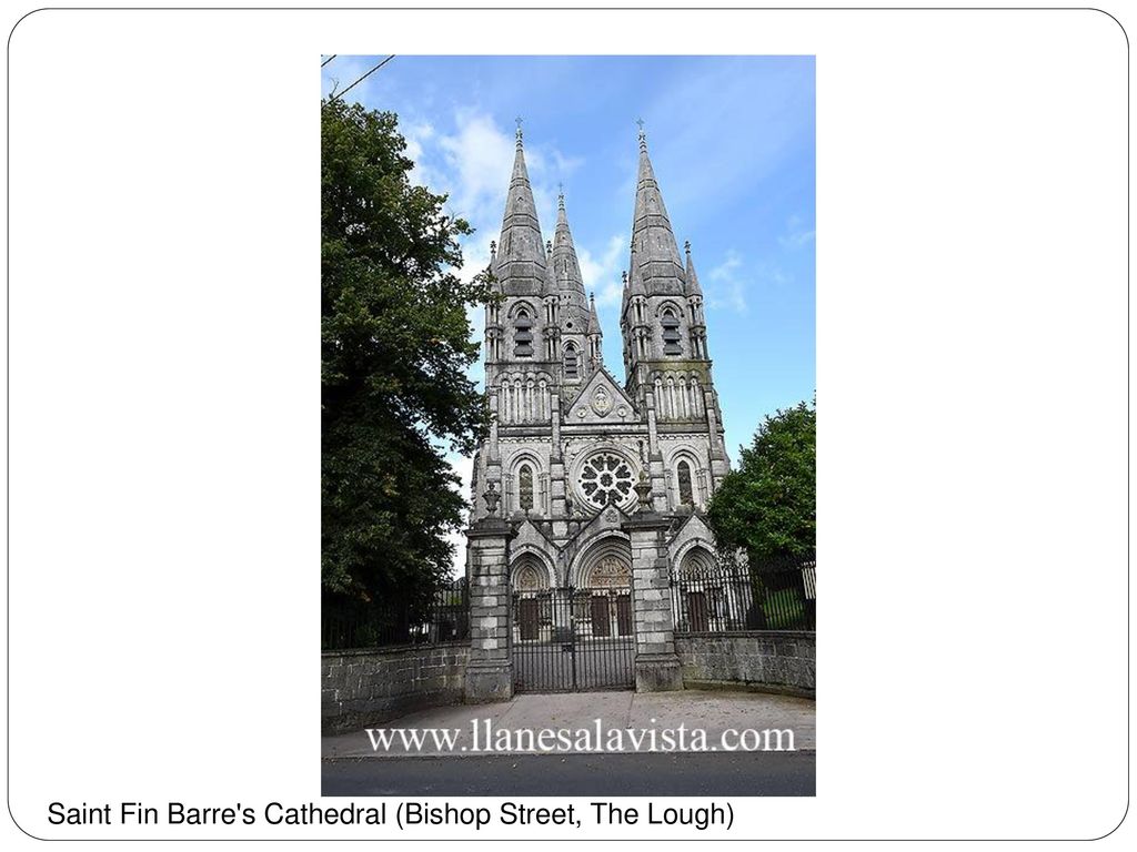 Saint Fin Barre s Cathedral (Bishop Street, The Lough)