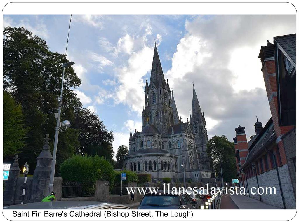 Saint Fin Barre s Cathedral (Bishop Street, The Lough)