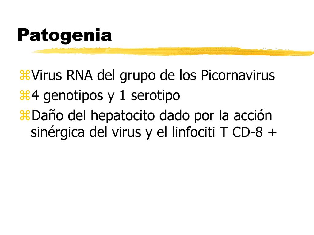 Patogenia Virus RNA del grupo de los Picornavirus