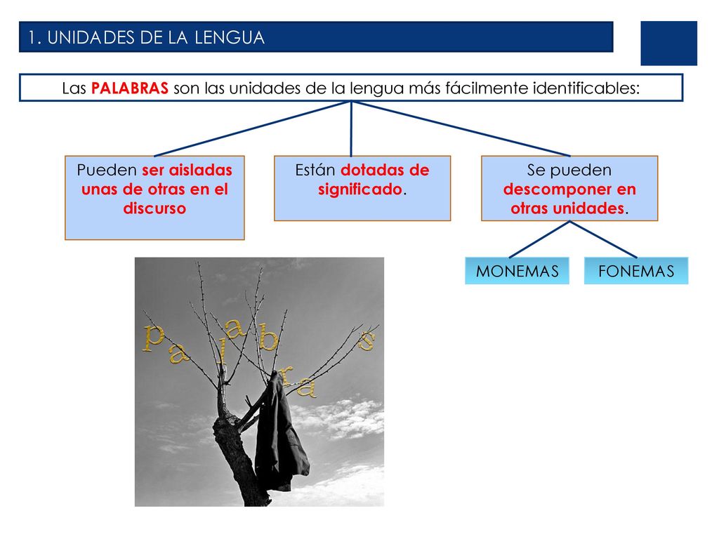 1. UNIDADES DE LA LENGUA Las PALABRAS son las unidades de la lengua más fácilmente identificables: Pueden ser aisladas unas de otras en el discurso.