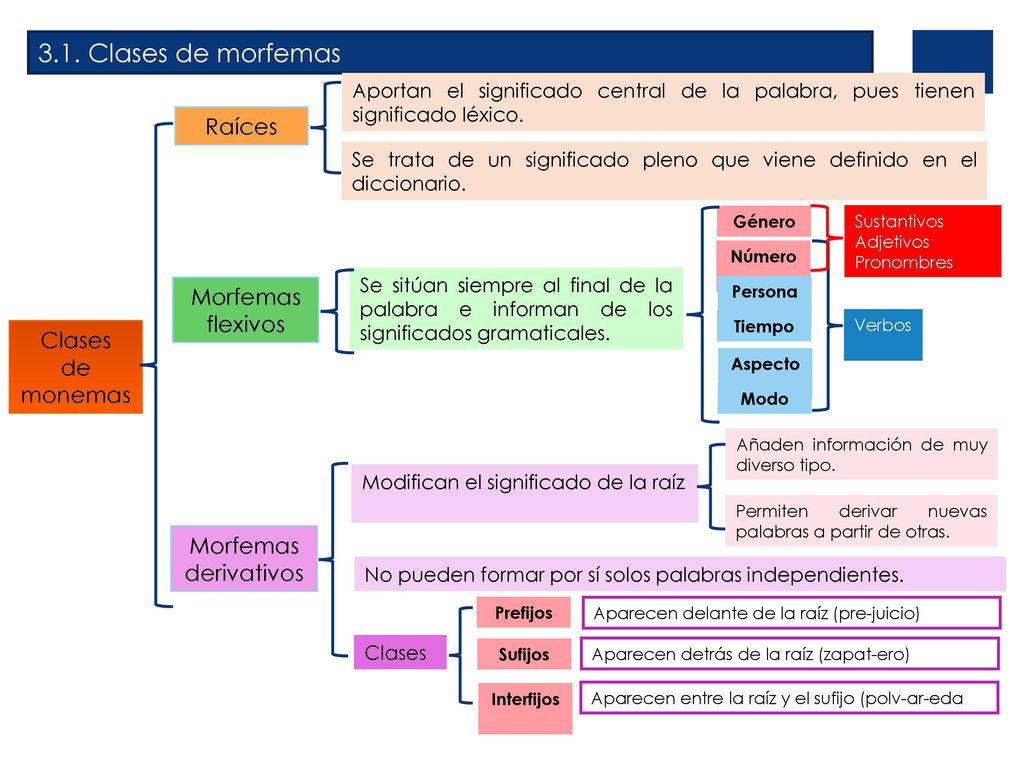 3.1. Clases de morfemas Raíces Morfemas flexivos Clases de monemas