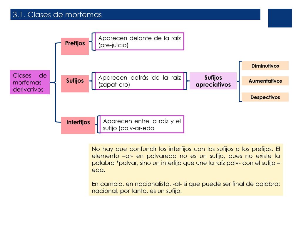 3.1. Clases de morfemas Aparecen delante de la raíz (pre-juicio)