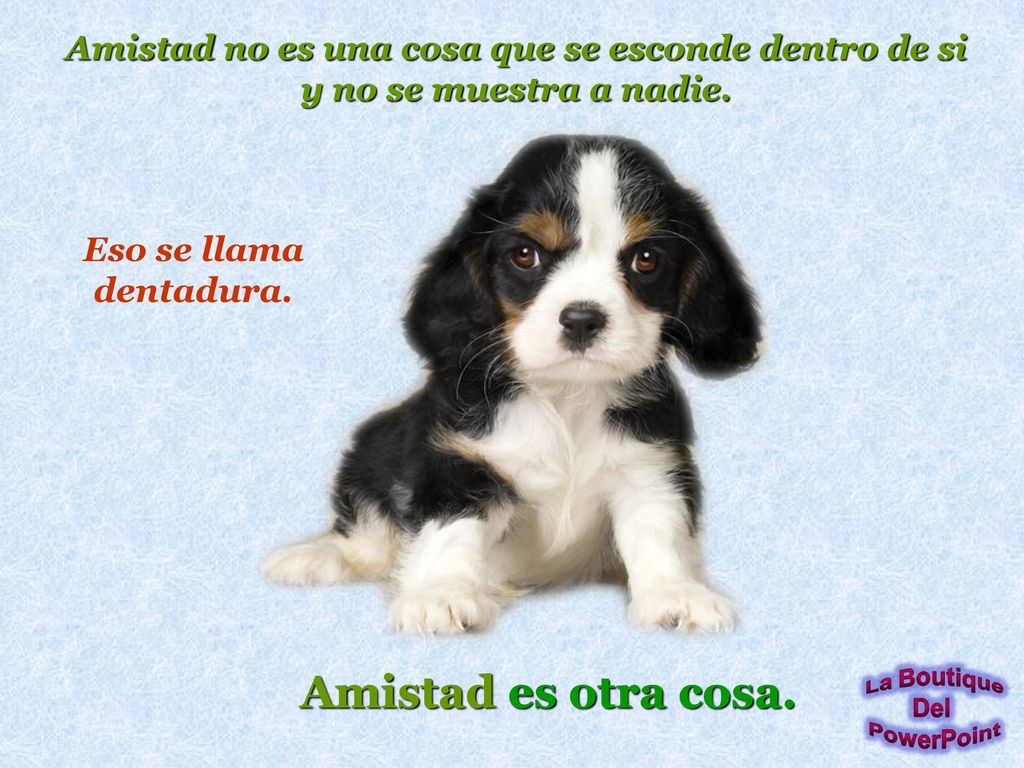Amistad no es una cosa que se esconde dentro de si y no se muestra a nadie.
