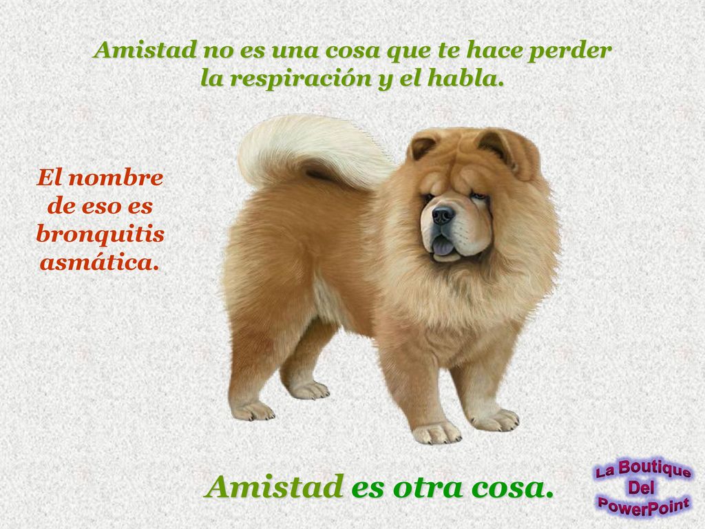 Amistad no es una cosa que te hace perder la respiración y el habla.