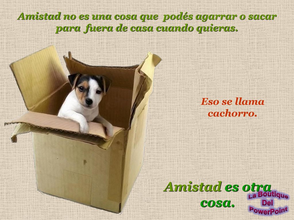 Amistad no es una cosa que podés agarrar o sacar para fuera de casa cuando quieras.