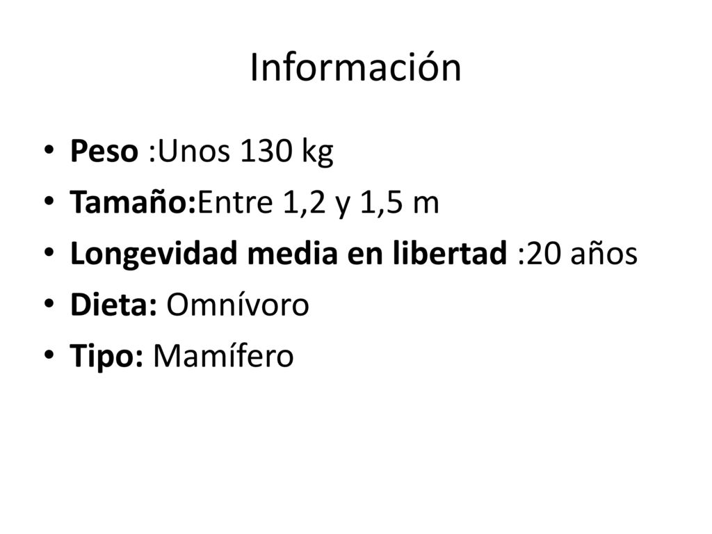 Información Peso :Unos 130 kg Tamaño:Entre 1,2 y 1,5 m