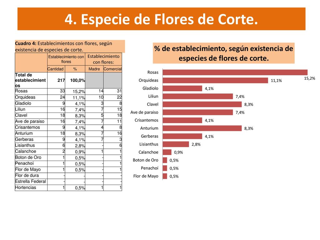 4. Especie de Flores de Corte.