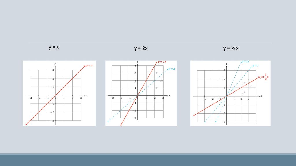 y = x y = 2x y = ½ x