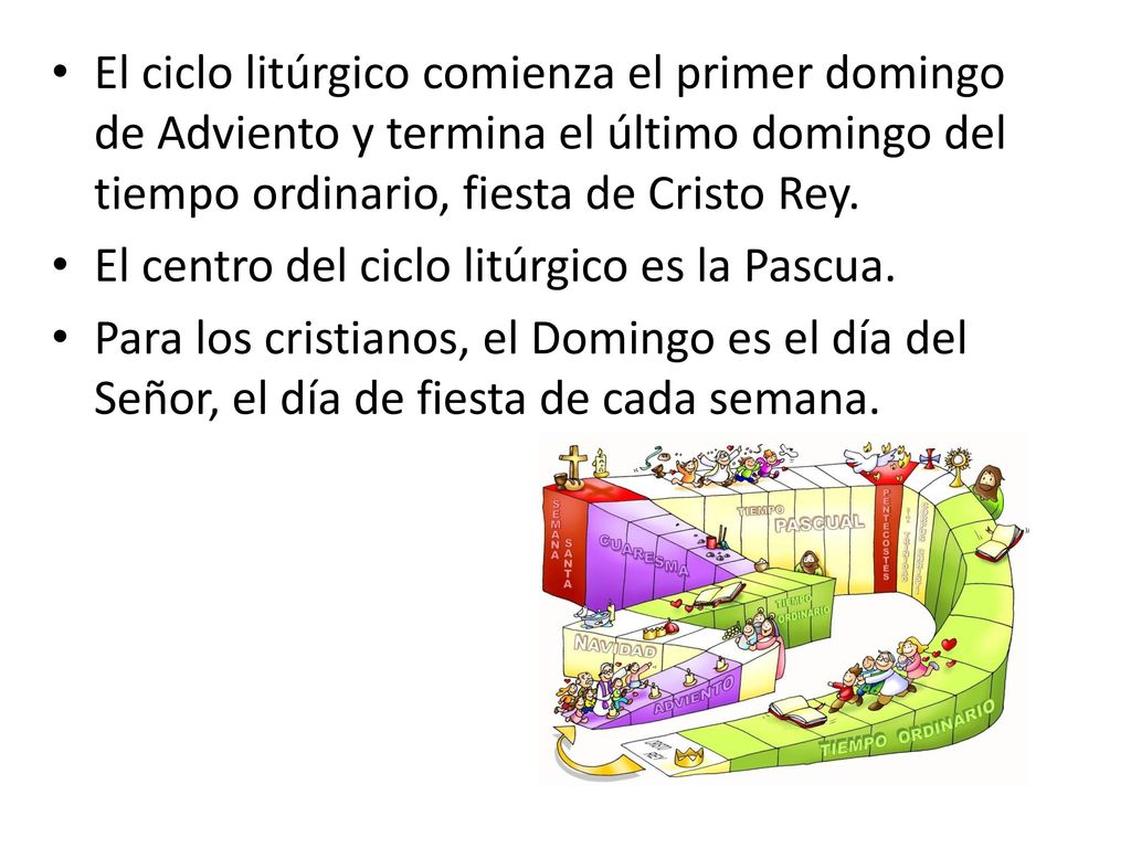 El ciclo litúrgico comienza el primer domingo de Adviento y termina el último domingo del tiempo ordinario, fiesta de Cristo Rey.