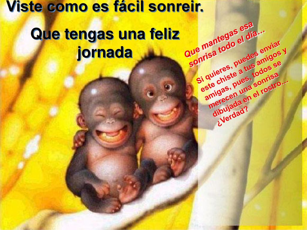 Viste como es fácil sonreir. Que tengas una feliz jornada