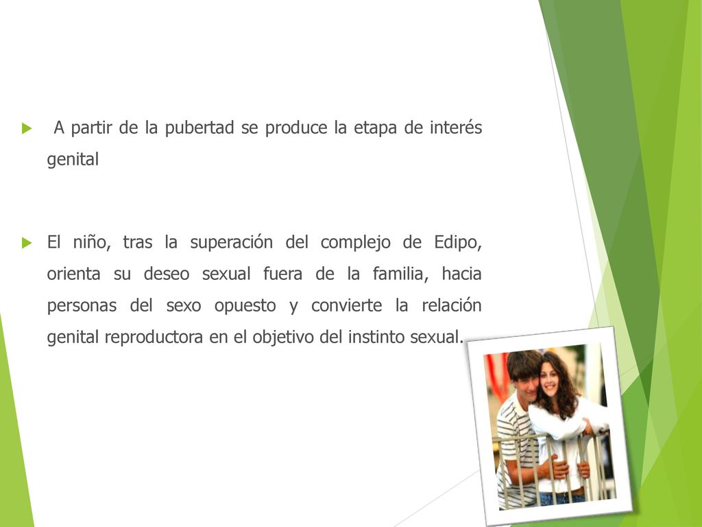 ETAPA GENITAL A partir de la pubertad se produce la etapa de interés genital.