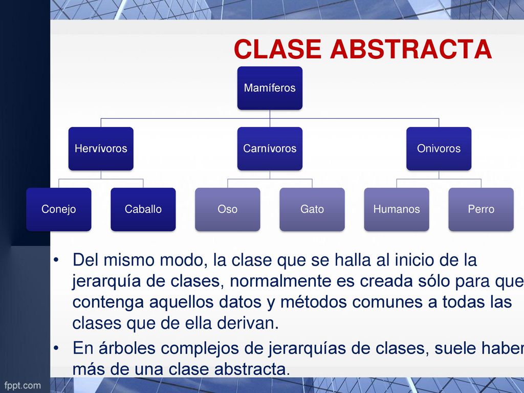 CLASE ABSTRACTA Mamíferos. Hervívoros. Conejo. Caballo. Carnívoros. Oso. Gato. Onivoros. Humanos.