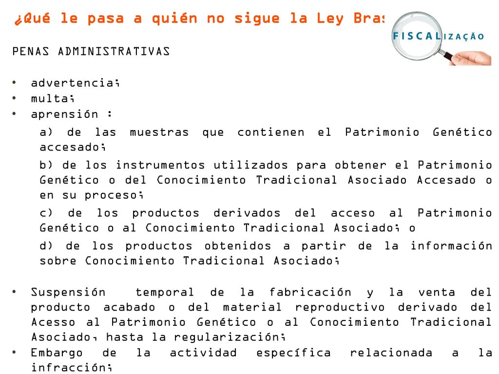 ¿Qué le pasa a quién no sigue la Ley Brasileña