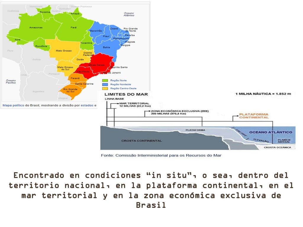 Encontrado en condiciones in situ , o sea, dentro del territorio nacional, en la plataforma continental, en el mar territorial y en la zona económica exclusiva de Brasil