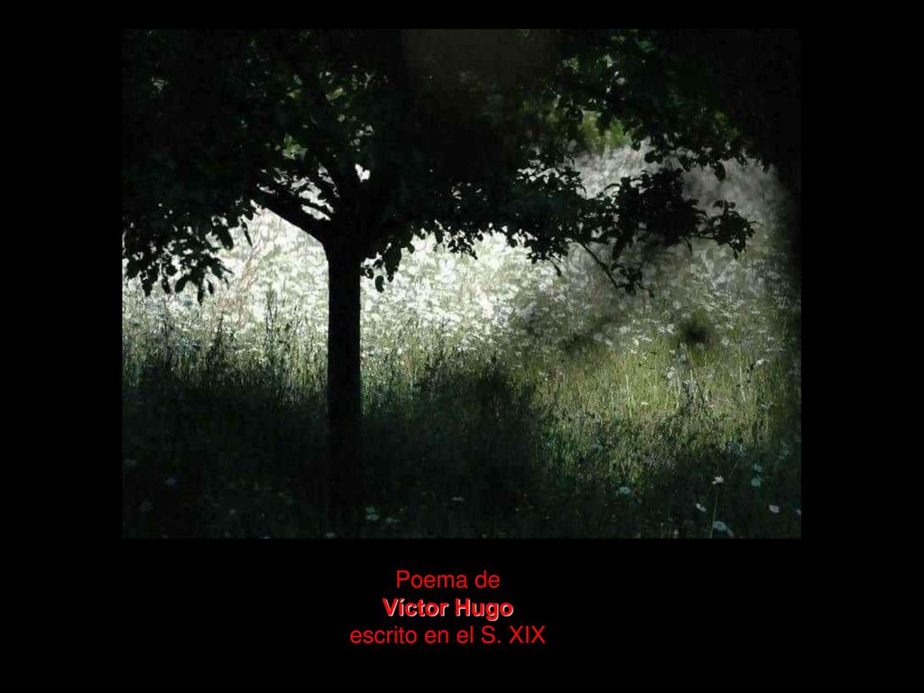 Poema de Víctor Hugo escrito en el S. XIX
