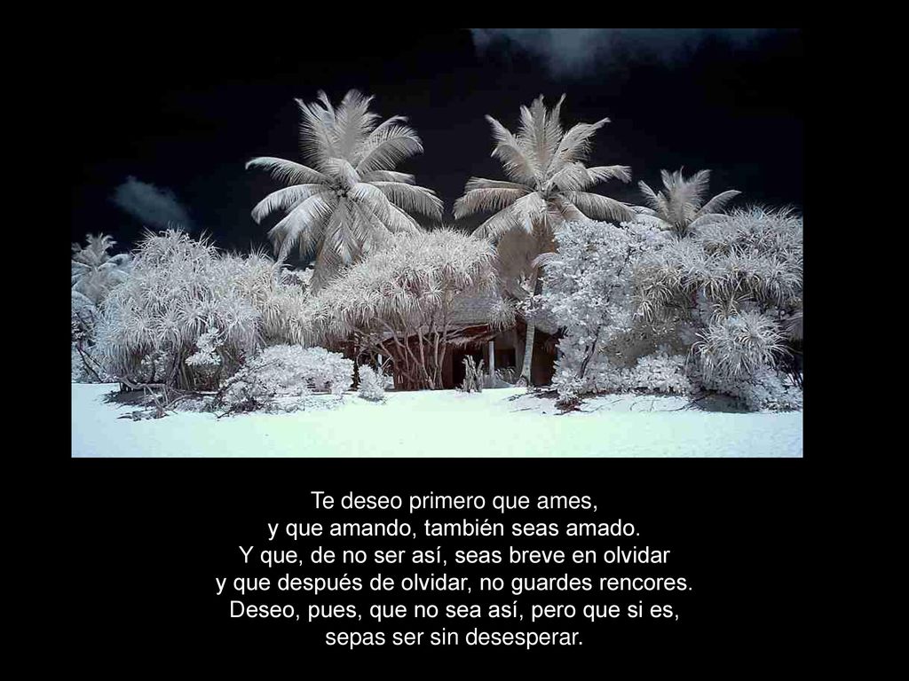Te deseo primero que ames, y que amando, también seas amado