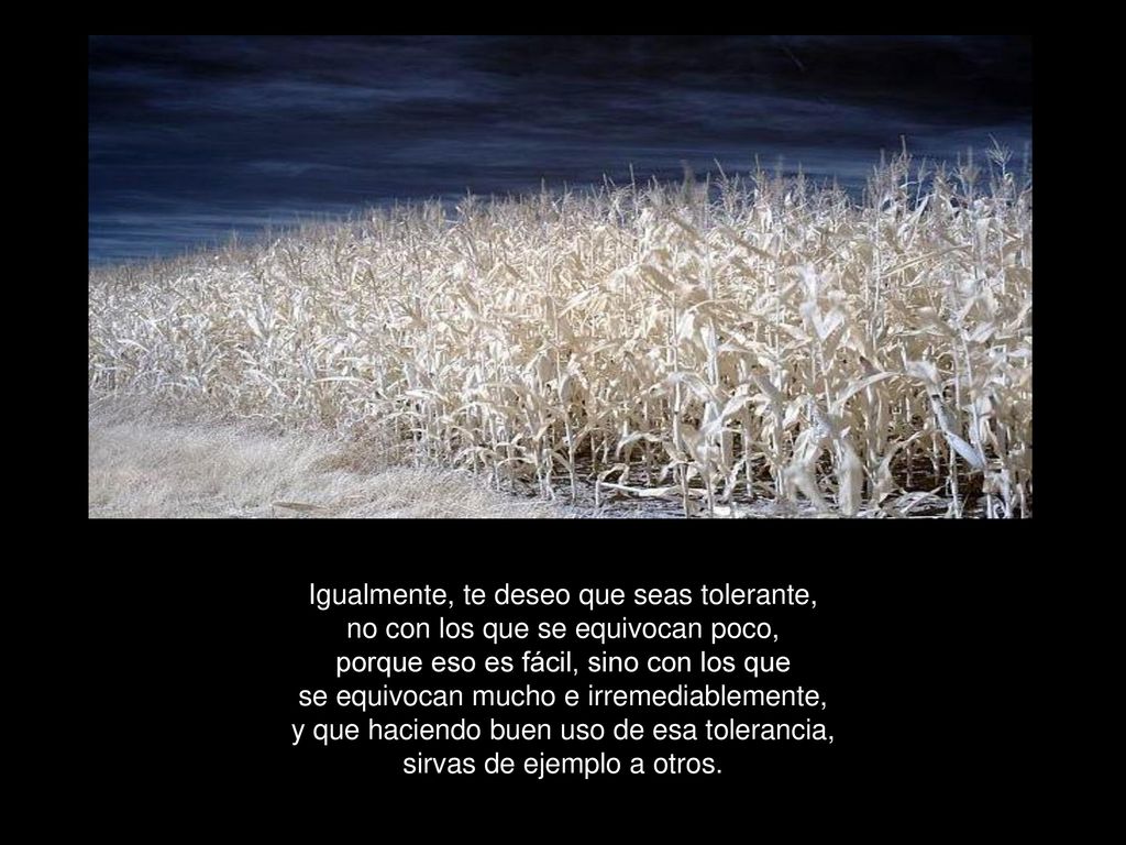 Igualmente, te deseo que seas tolerante, no con los que se equivocan poco, porque eso es fácil, sino con los que se equivocan mucho e irremediablemente, y que haciendo buen uso de esa tolerancia, sirvas de ejemplo a otros.