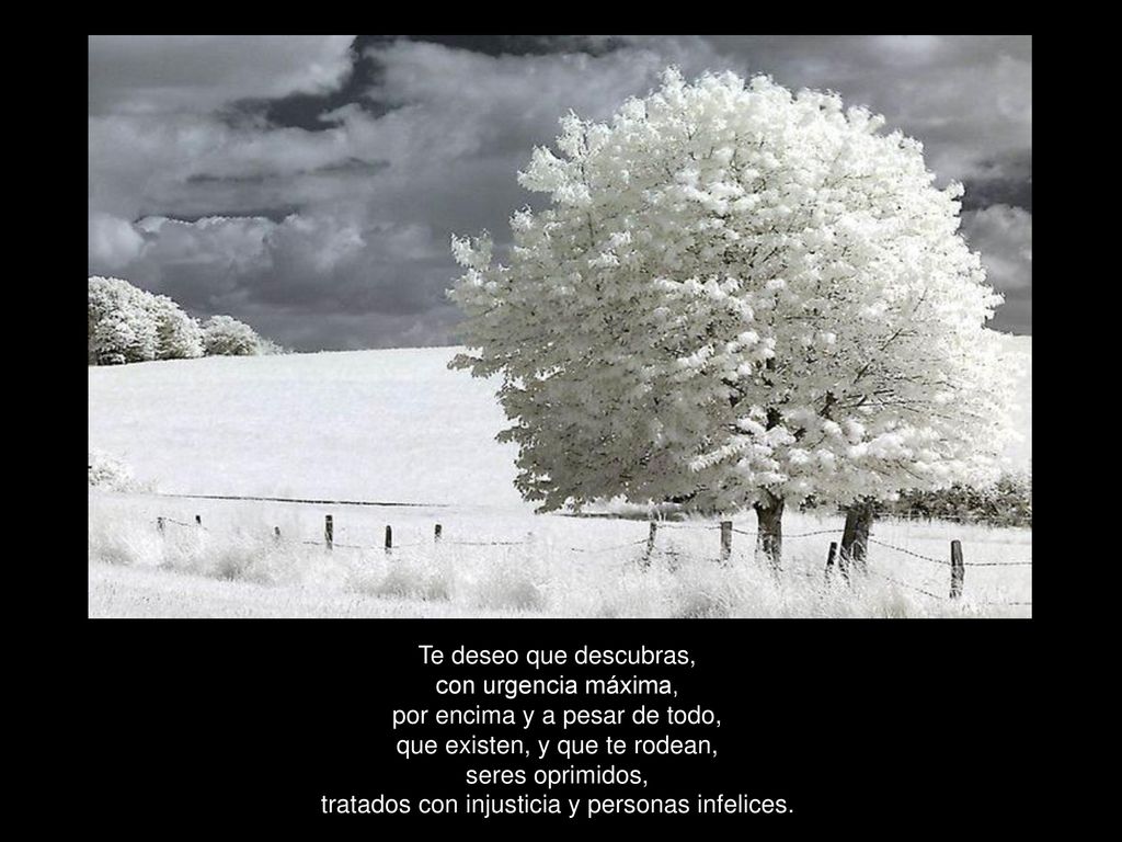 Te deseo que descubras, con urgencia máxima, por encima y a pesar de todo, que existen, y que te rodean, seres oprimidos, tratados con injusticia y personas infelices.