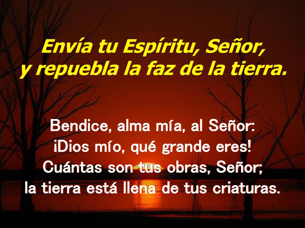 Envía tu Espíritu, Señor, y repuebla la faz de la tierra.