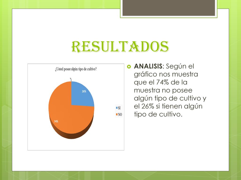 resultados ANALISIS: Según el gráfico nos muestra que el 74% de la muestra no posee algún tipo de cultivo y el 26% si tienen algún tipo de cultivo.