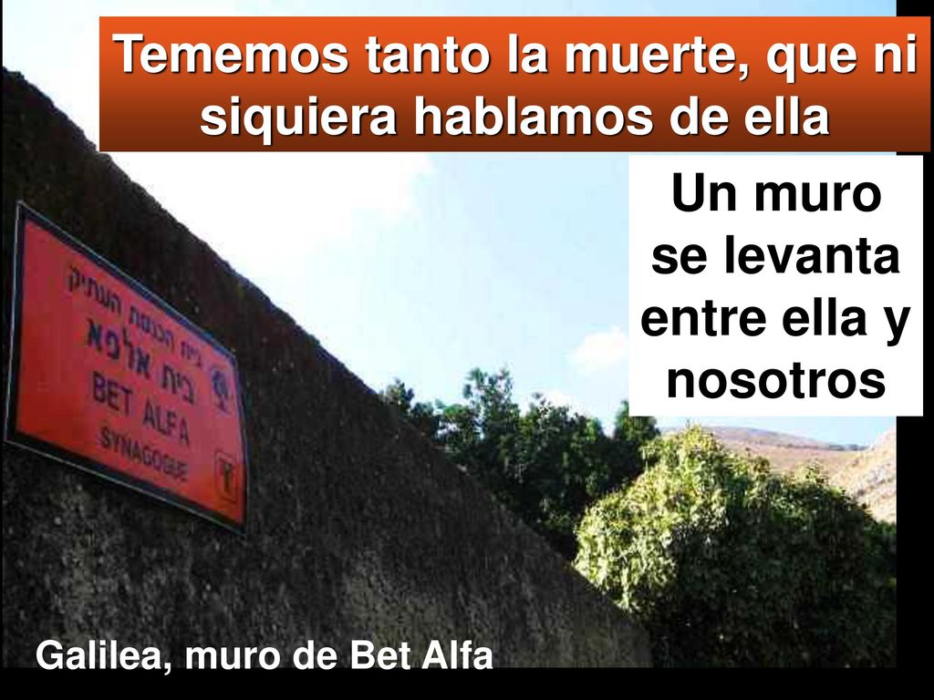Tememos tanto la muerte, que ni siquiera hablamos de ella