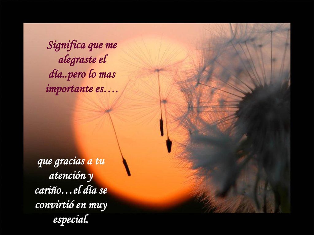 Significa que me alegraste el día..pero lo mas importante es….