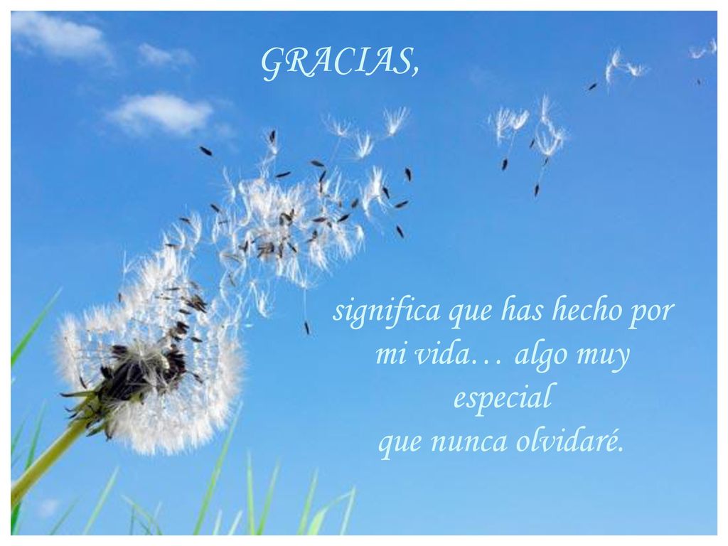 significa que has hecho por mi vida… algo muy especial