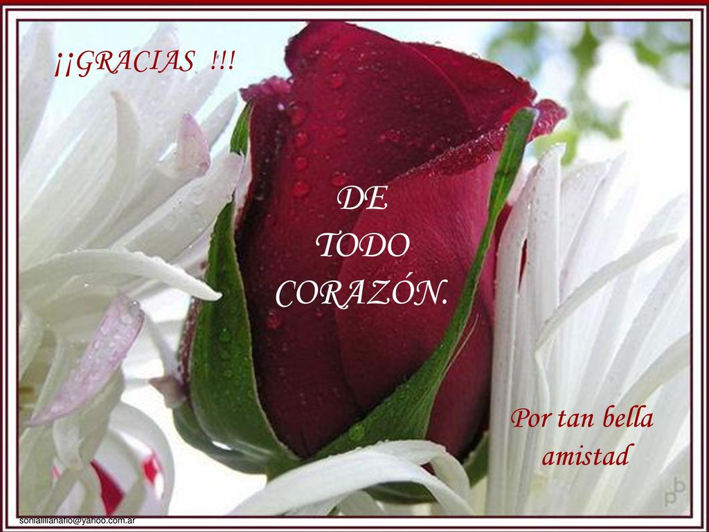¡¡GRACIAS !!! DE TODO CORAZÓN. Por tan bella amistad