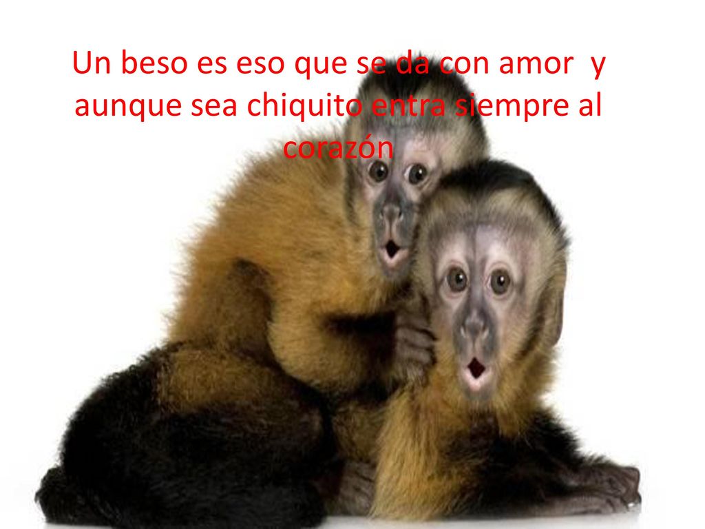 Un beso es eso que se da con amor y aunque sea chiquito entra siempre al corazón
