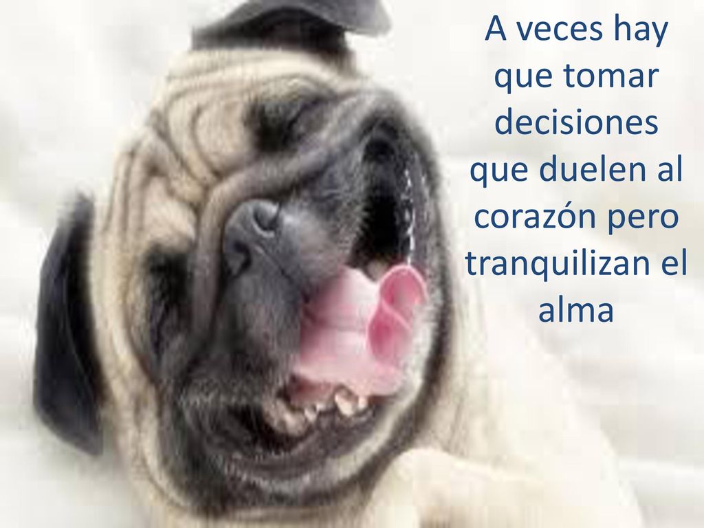 A veces hay que tomar decisiones que duelen al corazón pero tranquilizan el alma