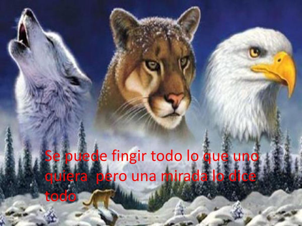 Se puede fingir todo lo que uno quiera pero una mirada lo dice todo