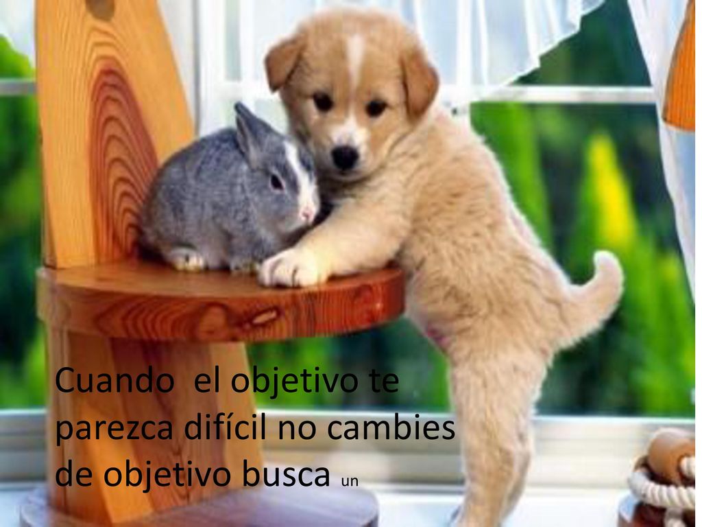 Cuando el objetivo te parezca difícil no cambies de objetivo busca un