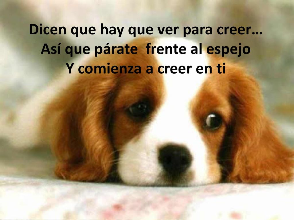 Dicen que hay que ver para creer… Así que párate frente al espejo