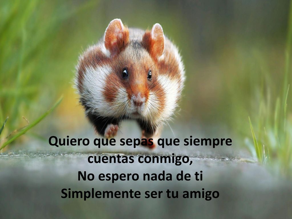 Quiero que sepas que siempre cuentas conmigo, Simplemente ser tu amigo