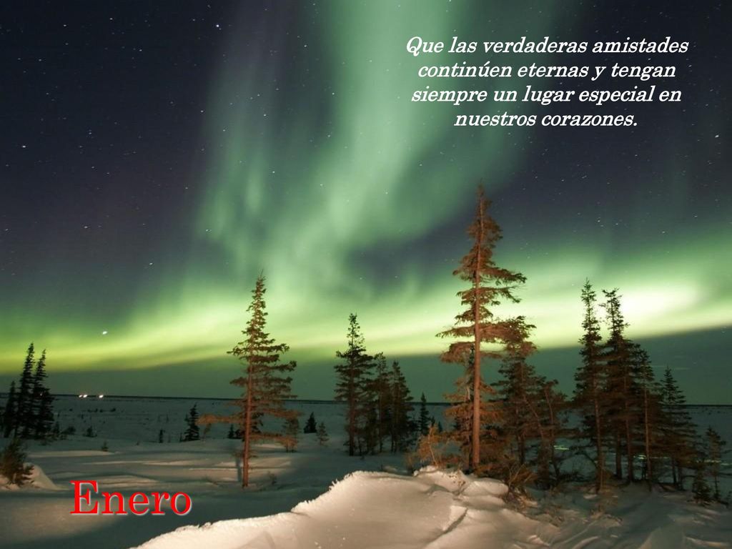 Que las verdaderas amistades continúen eternas y tengan siempre un lugar especial en nuestros corazones.