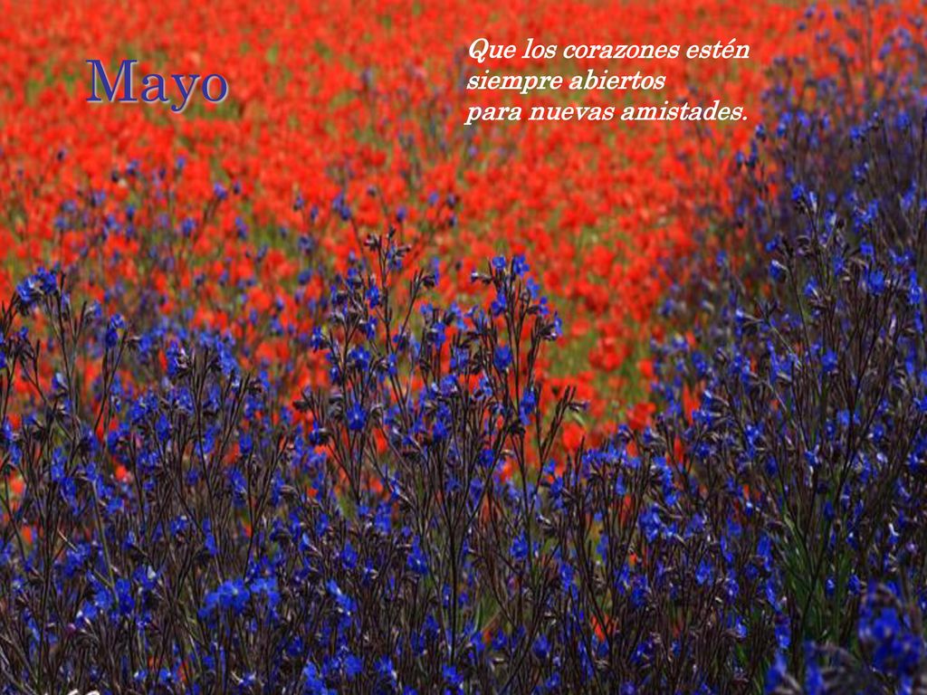 Mayo Que los corazones estén siempre abiertos para nuevas amistades.