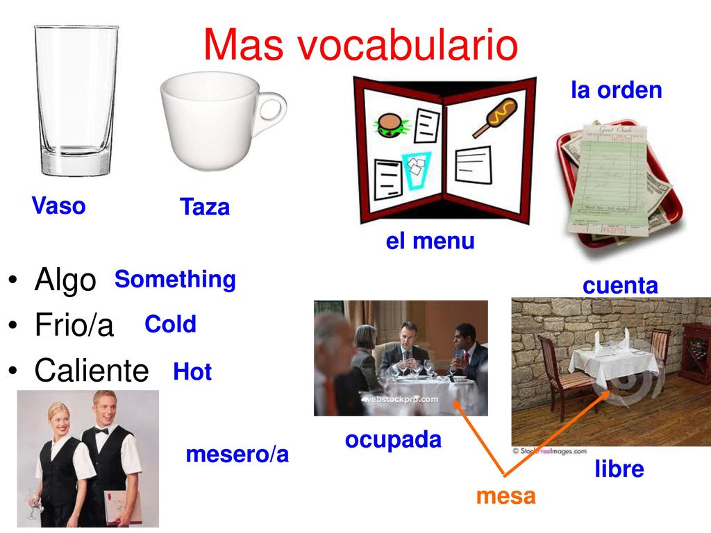 Mas vocabulario Algo Frio/a Caliente la orden Vaso Taza el menu