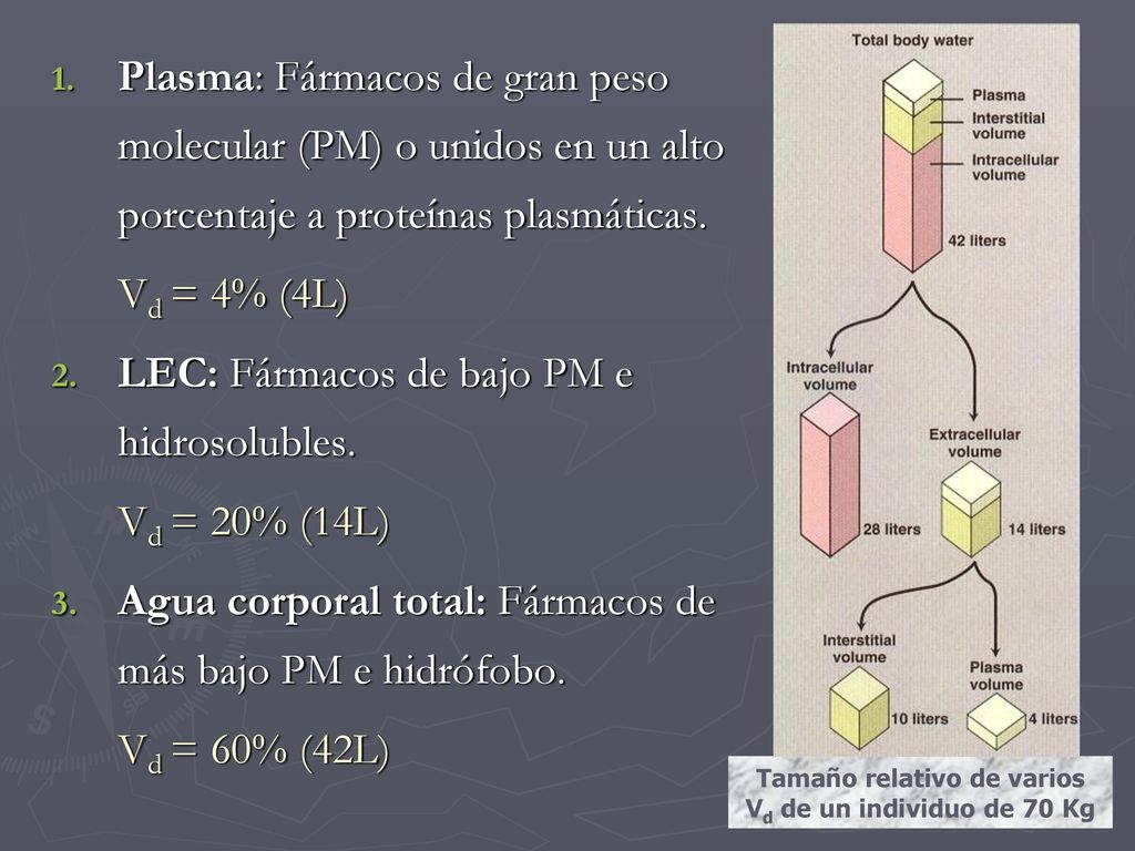 Tamaño relativo de varios Vd de un individuo de 70 Kg