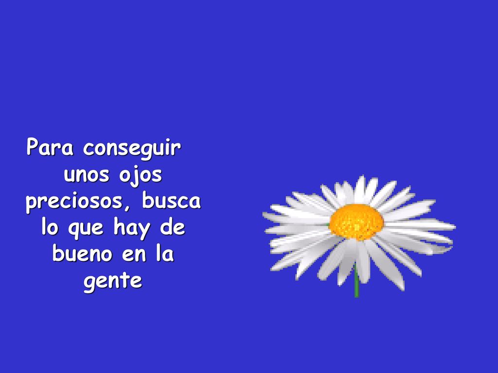 Para conseguir unos ojos preciosos, busca lo que hay de bueno en la gente
