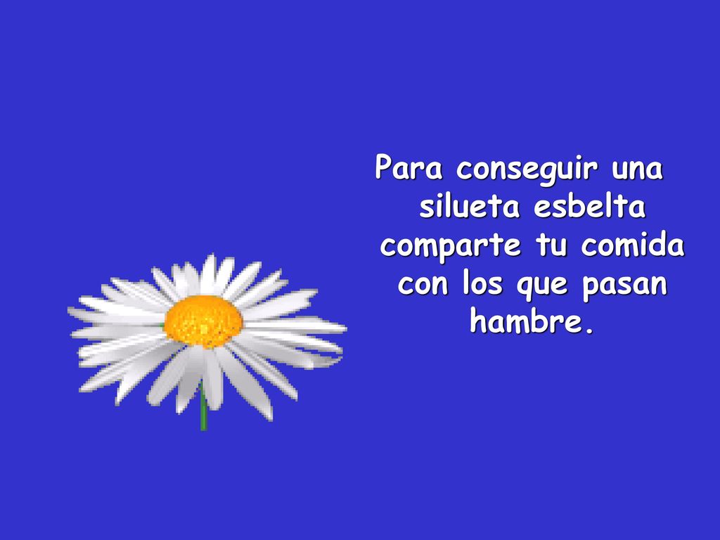 Para conseguir una silueta esbelta comparte tu comida con los que pasan hambre.