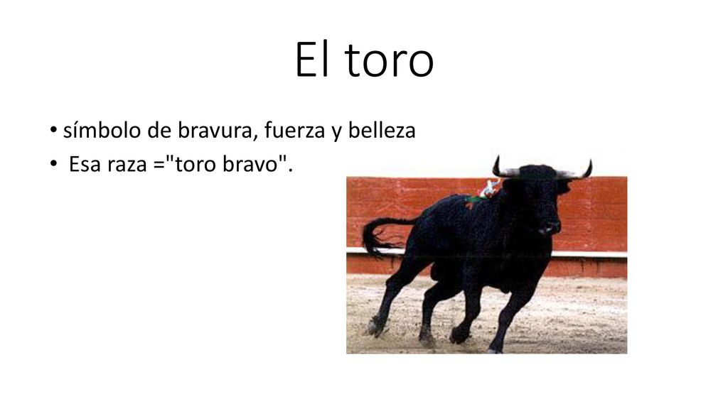 El toro símbolo de bravura, fuerza y belleza Esa raza = toro bravo .