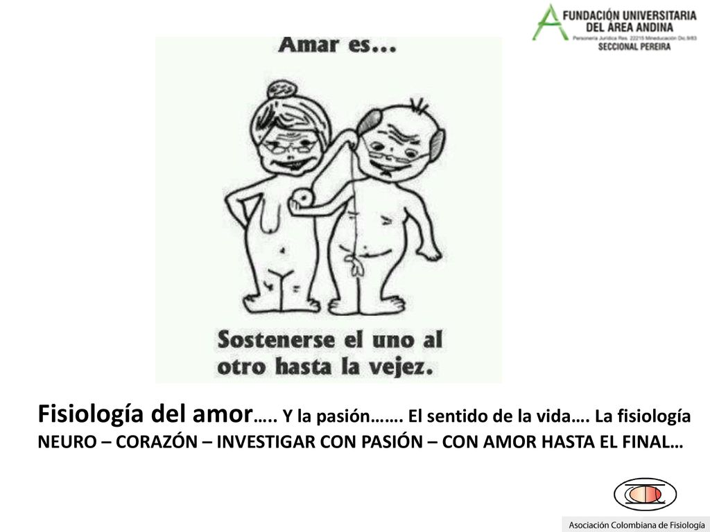 Fisiología del amor…. Y la pasión……. El sentido de la vida…