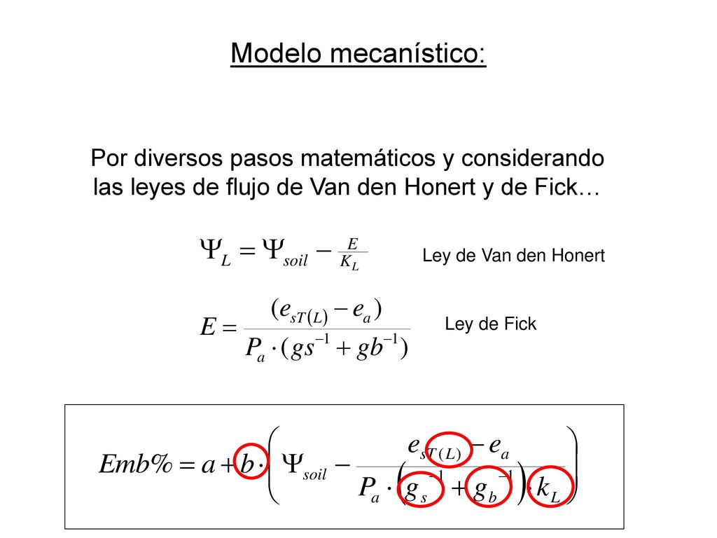 Modelo mecanístico: Por diversos pasos matemáticos y considerando las leyes de flujo de Van den Honert y de Fick…
