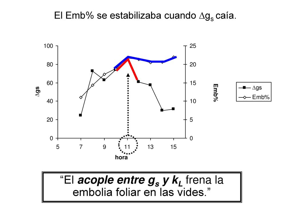 El acople entre gs y kL frena la embolia foliar en las vides.