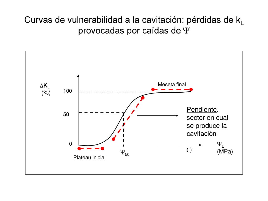 Curvas de vulnerabilidad a la cavitación: pérdidas de kL provocadas por caídas de 