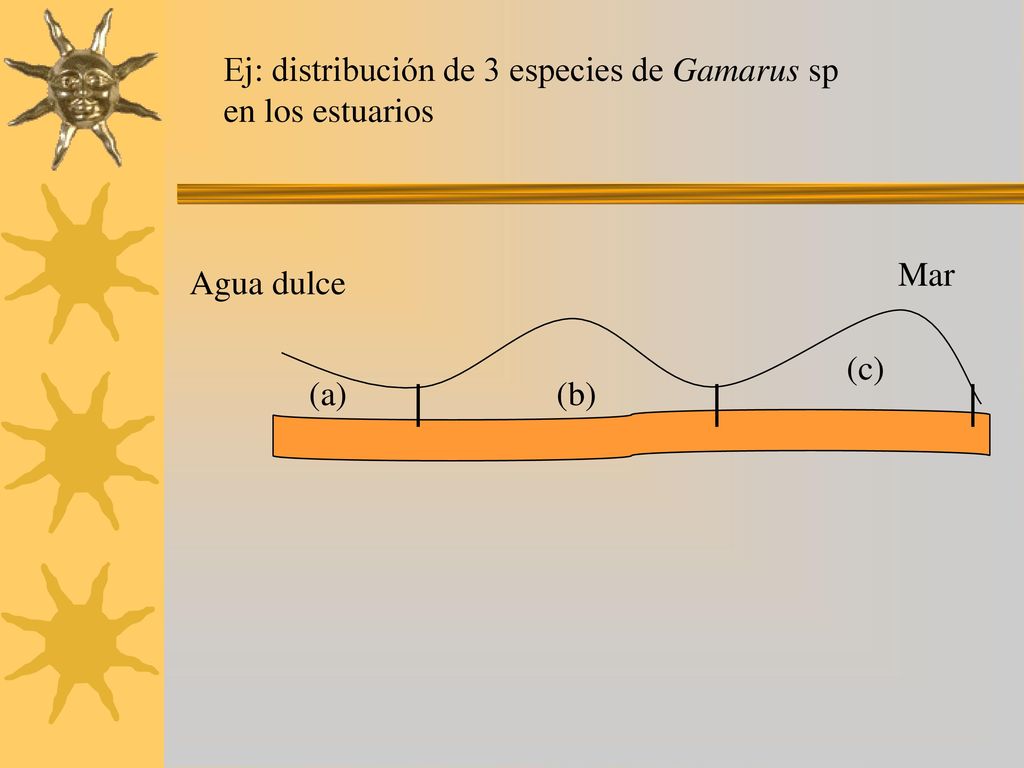Ej: distribución de 3 especies de Gamarus sp en los estuarios