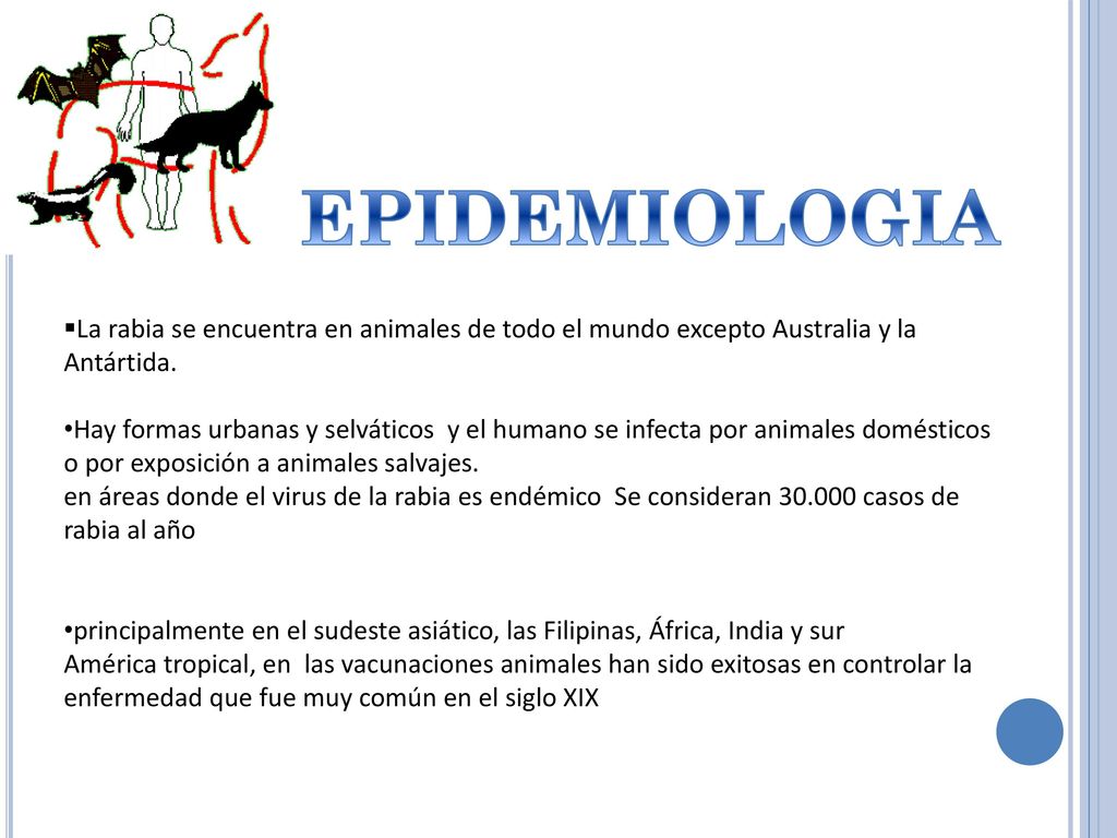 EPIDEMIOLOGIA La rabia se encuentra en animales de todo el mundo excepto Australia y la Antártida.